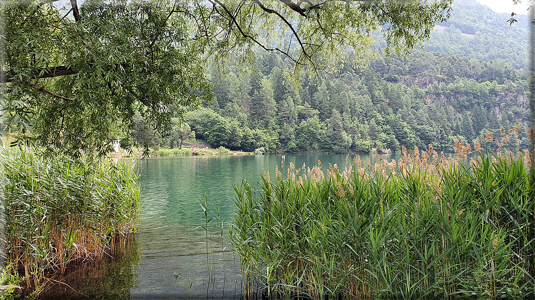 foto Lago di Lases